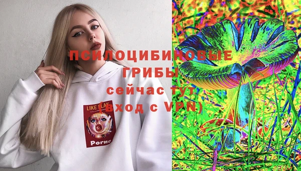 амф Коряжма