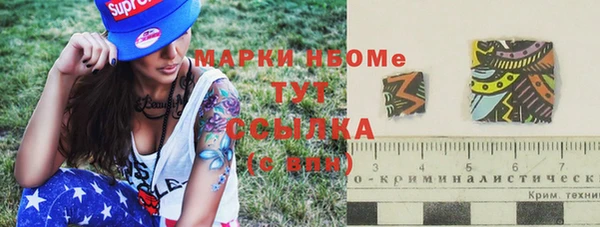 амф Коряжма