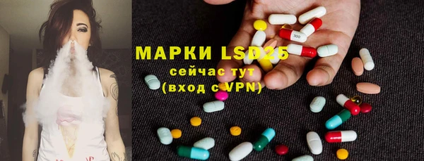 ГАЛЛЮЦИНОГЕННЫЕ ГРИБЫ Щигры