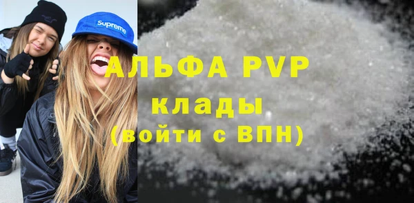амф Коряжма