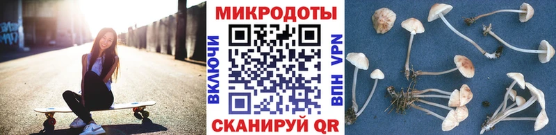 Галлюциногенные грибы MAGIC MUSHROOMS  Купить  Жердевка 